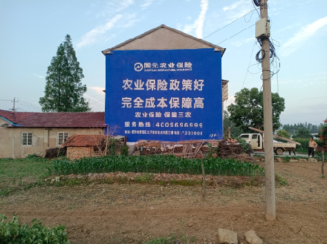 镇平墙体广告的优劣势你知道吗?